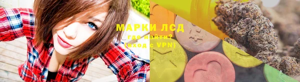 сатива Коряжма