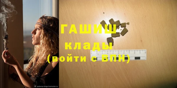 сатива Коряжма
