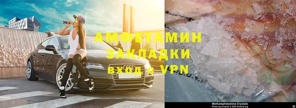 сатива Коряжма