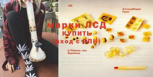 сатива Коряжма
