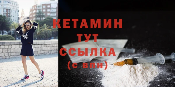 сатива Коряжма