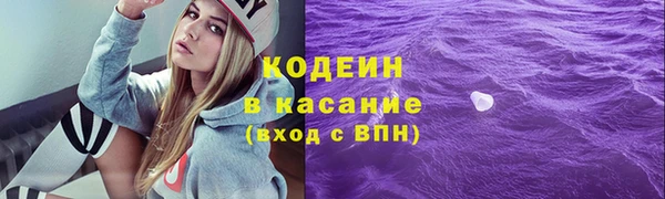 сатива Коряжма