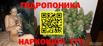 твердый Новозыбков