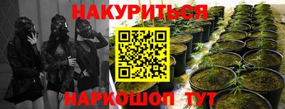 ALPHA PVP Новодвинск