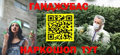 индика Назарово