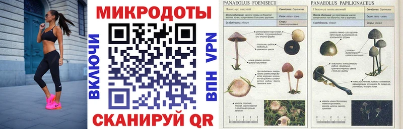 это клад наркошоп Саров Галлюциногенные грибы Psilocybine cubensis