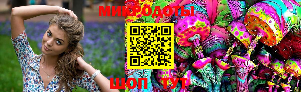 Саров  Псилоцибиновые грибы мицелий  Вход с VPN  Галлюциногенные грибы GOLDEN TEACHER 
