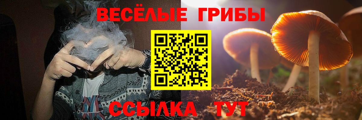 Галлюциногенные грибы Cubensis Саров